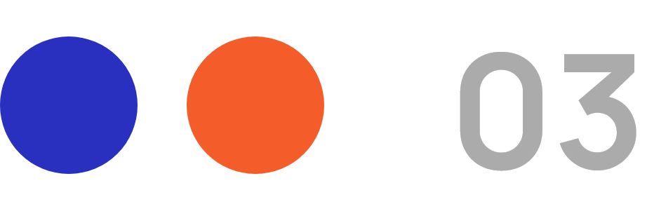 Election Support Services